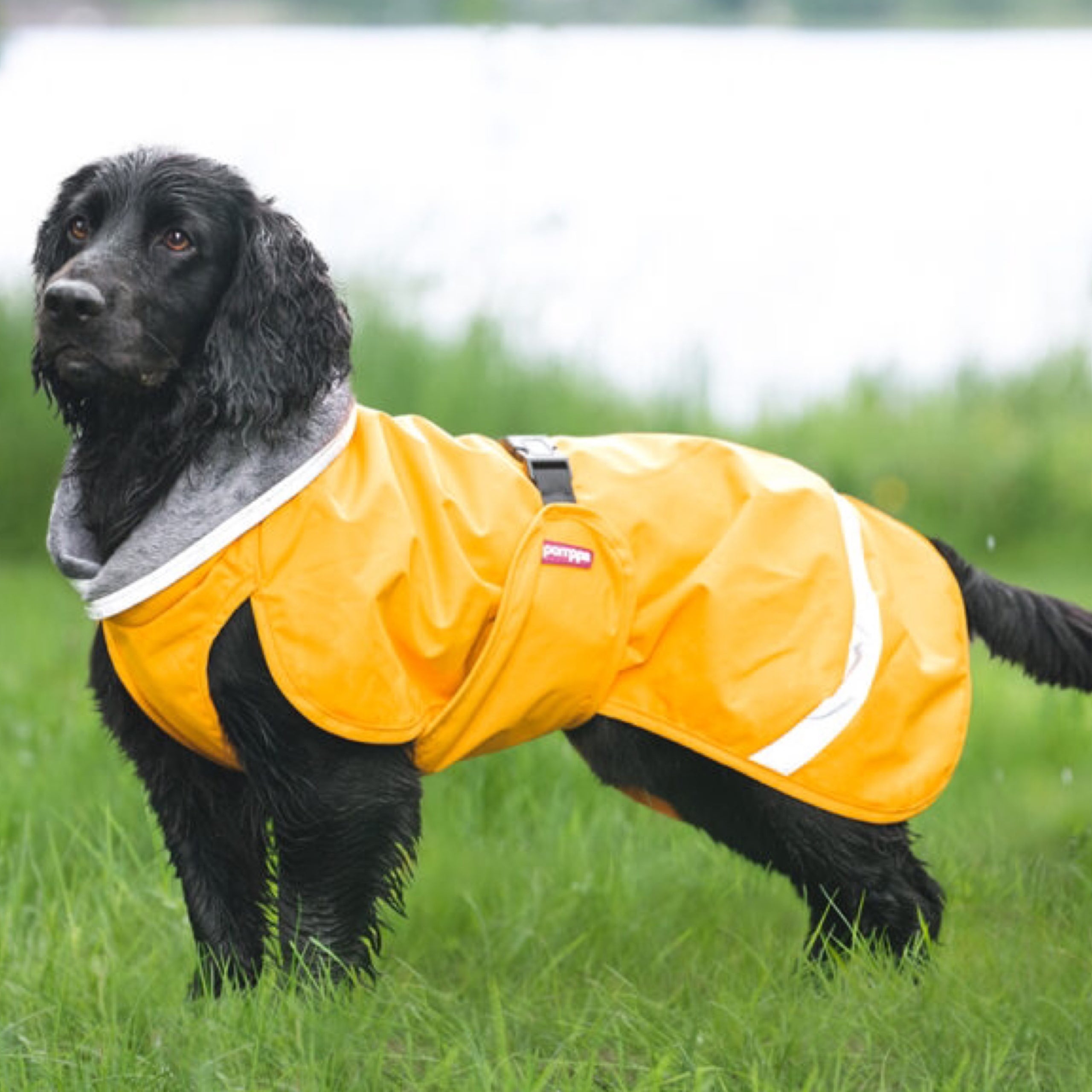 Pomppa deals dog coats